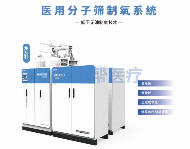 龙系列医用分子筛制氧系统